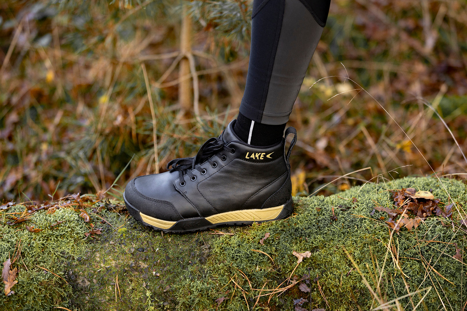 MXZ120 stepping on wooden log