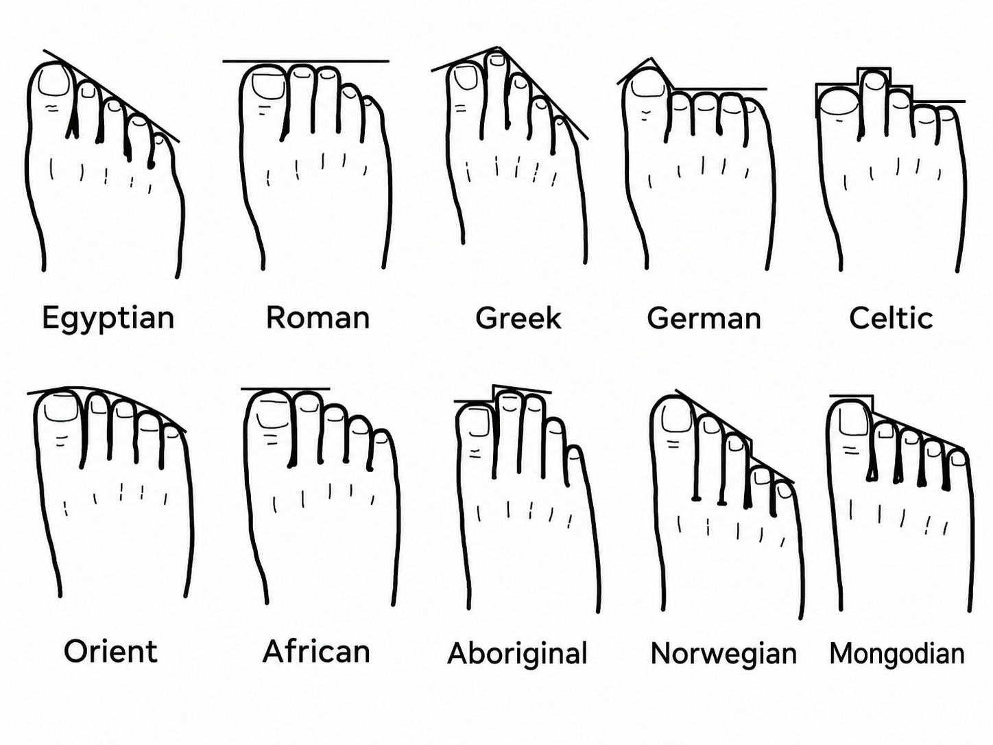 10 Foot Shapes